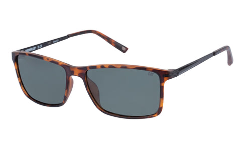 Gafas de sol PC de carey mate con lente verde sólido