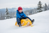 Cat® Snow Cruiser Sled