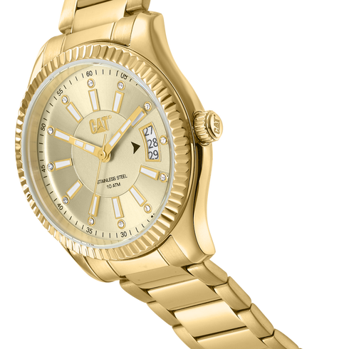 Women's Ray Watch Gold Dial w/Gold Stainless Steel Strap