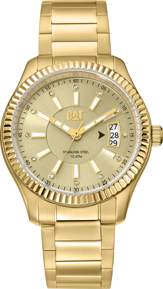 Women's Ray Watch Gold Dial w/Gold Stainless Steel Strap