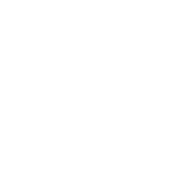 Sale Badge